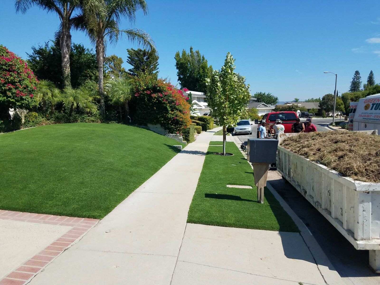 Front yard turf along a residential sidewalk