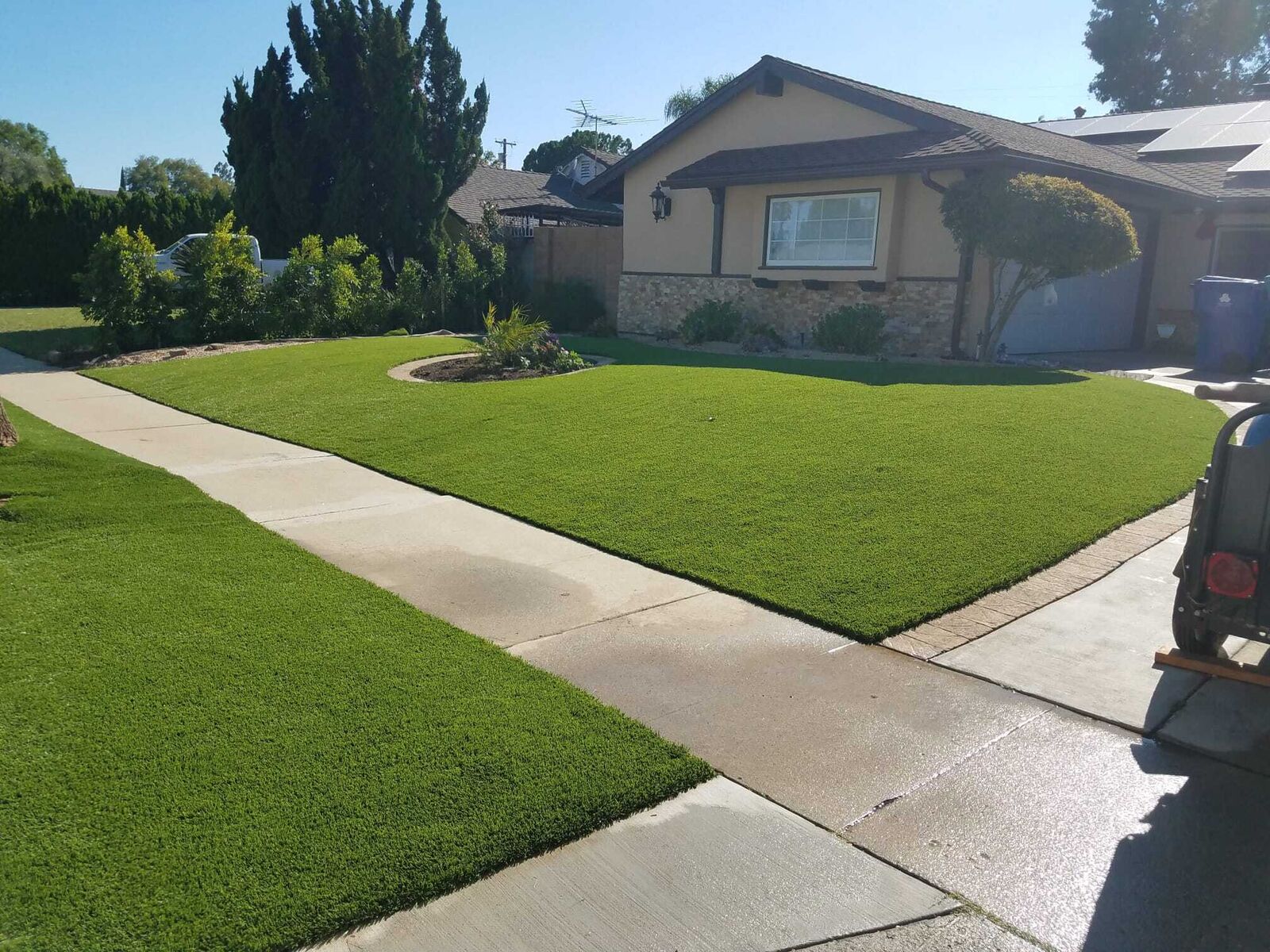 Residential Lawns