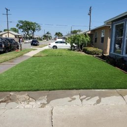Street-facing front lawn after installation